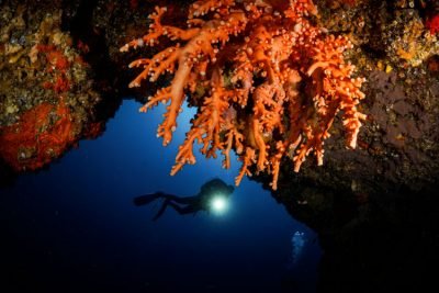 Diving Lanzarote in Puerto Del Carmen and Playa Blanca